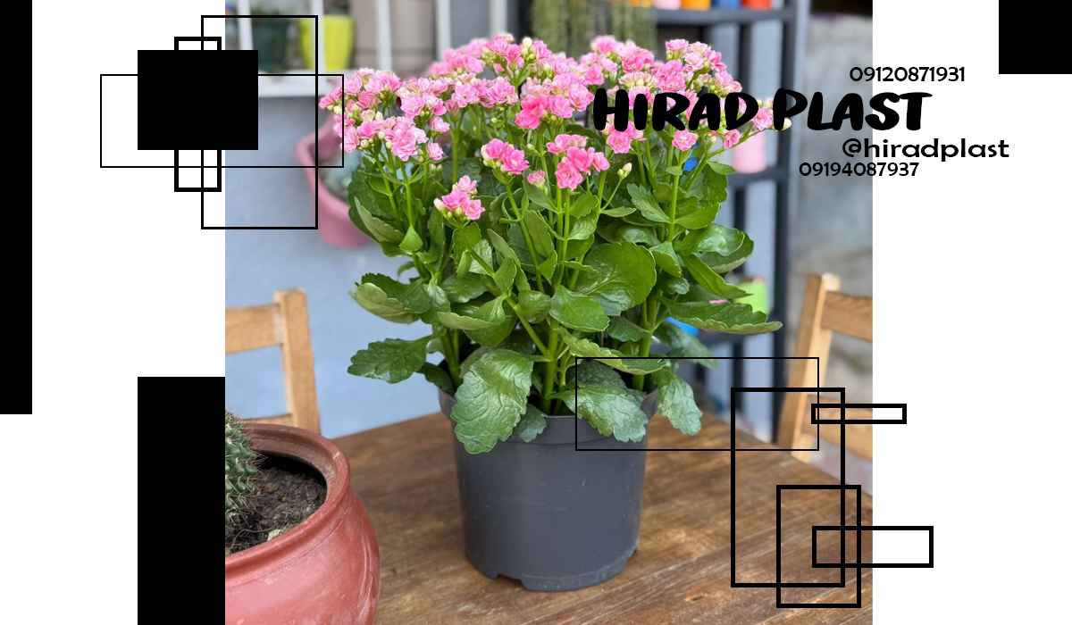 خرید گلدان پلاستیکی