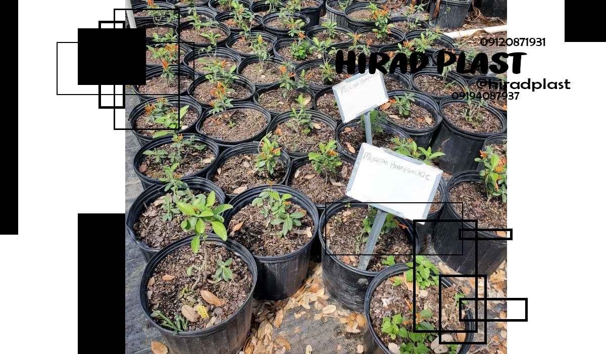 گلدان پلاستیکی عمده