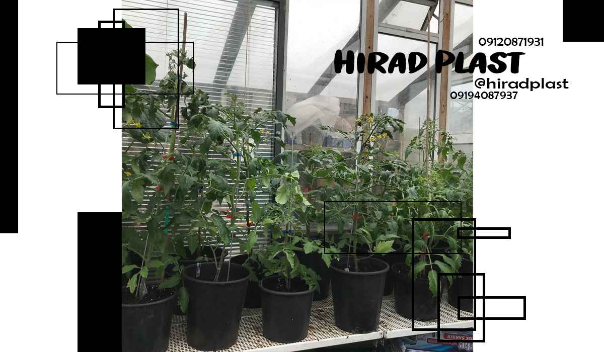 گلدان پلاستیکی مشکی