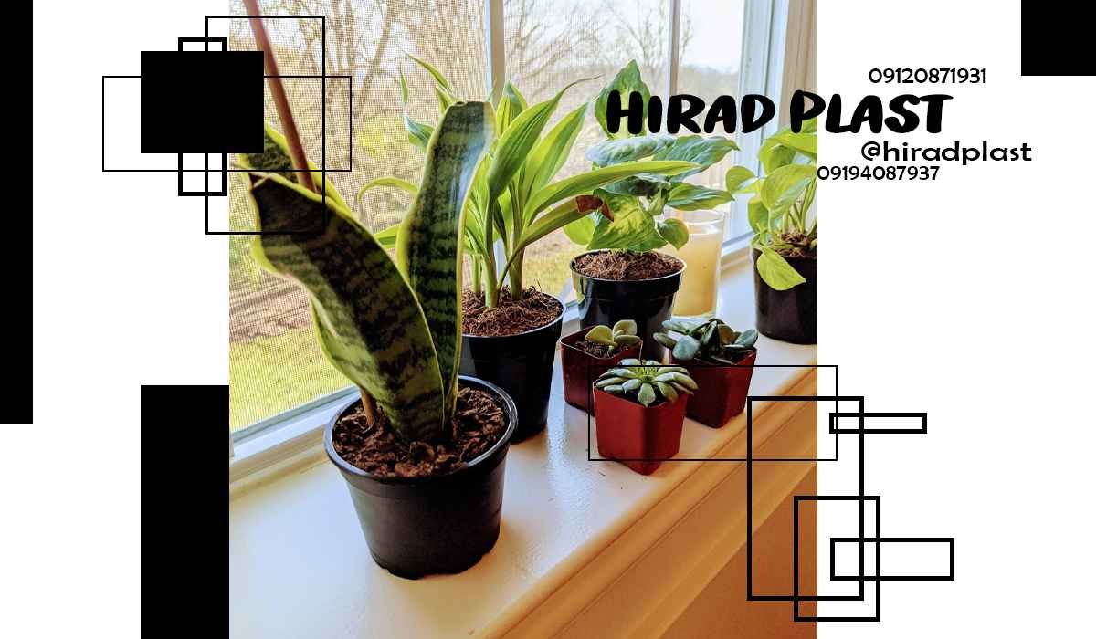 گلدان پلاستیکی کشاورزی