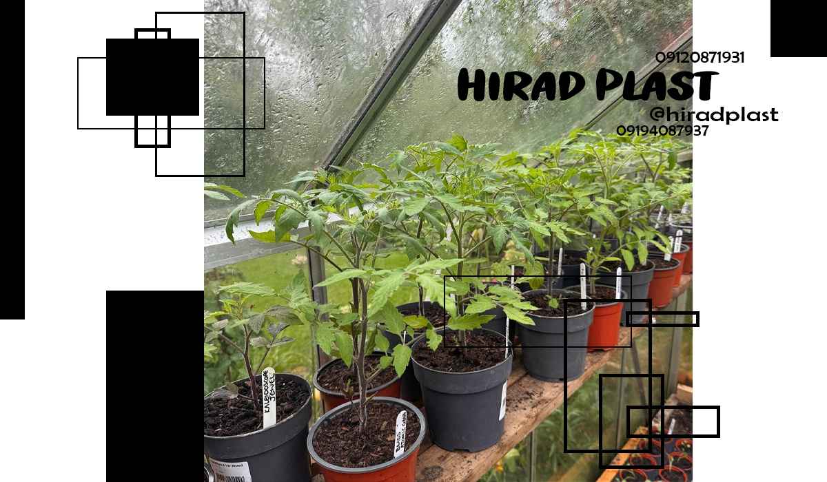 گلدان پلاستیکی