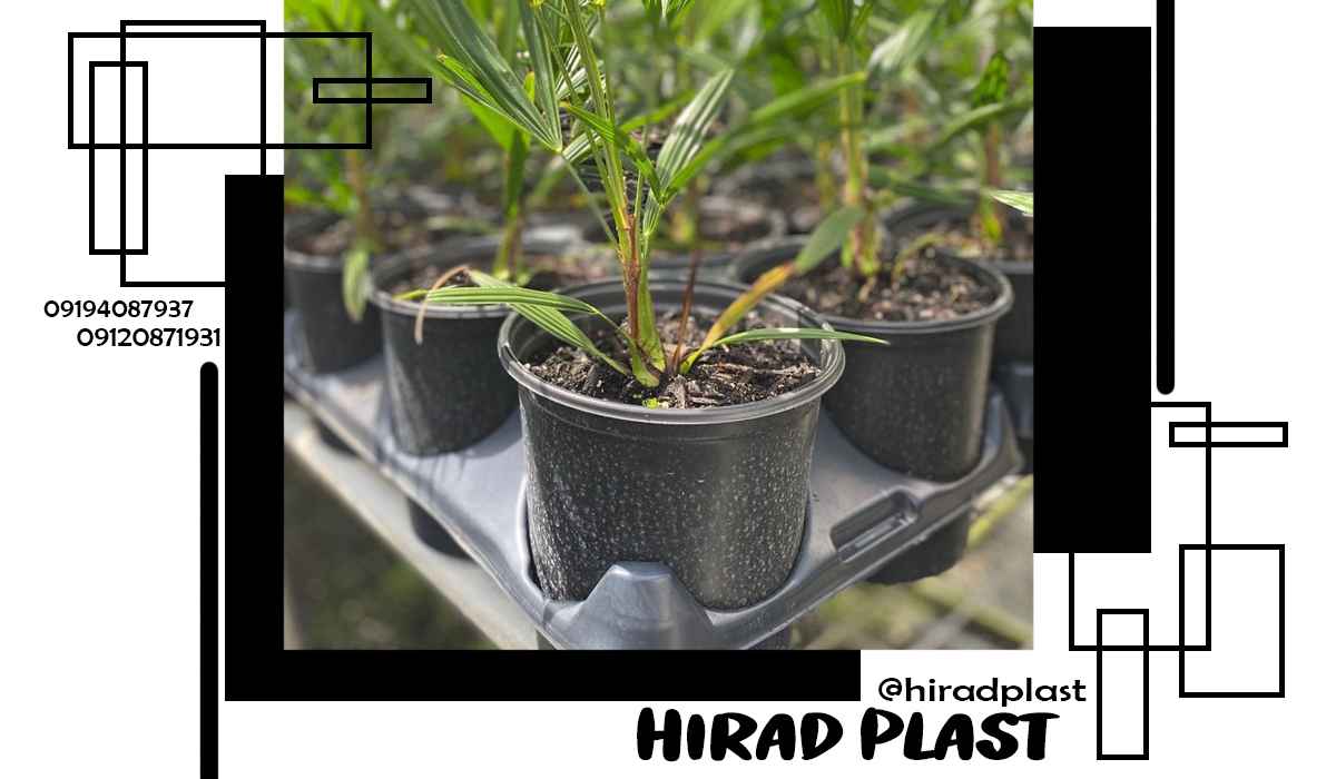 خرید گلدان پلاستیکی