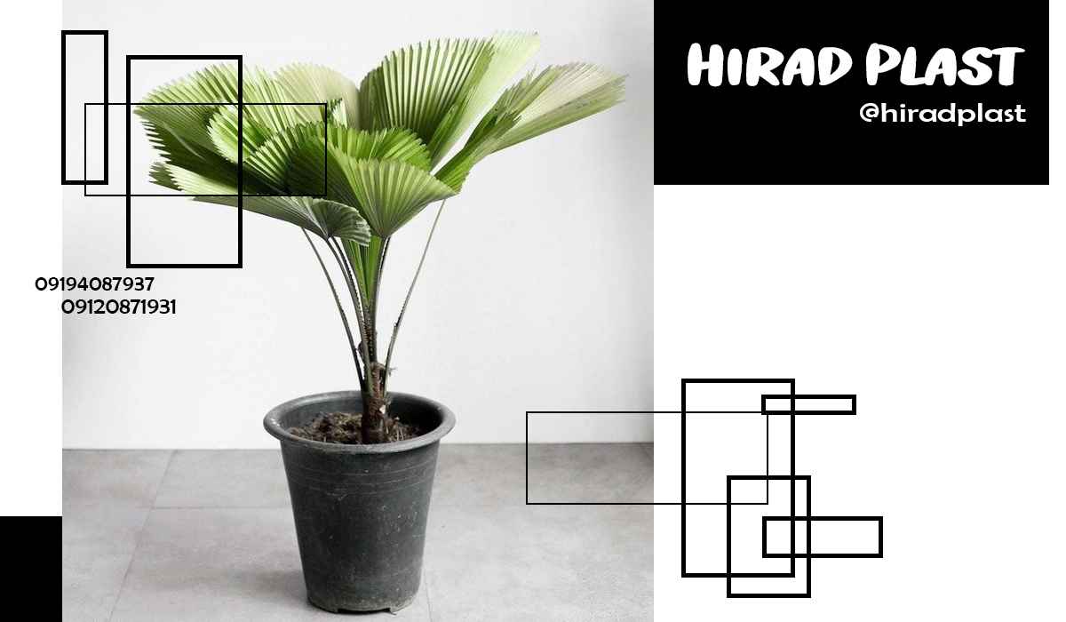 خرید گلدان پلاستیکی