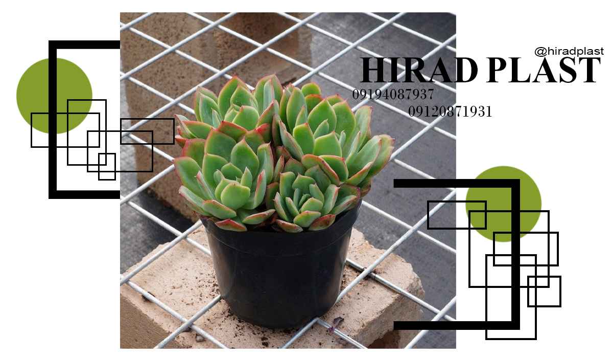 خرید گلدان پلاستیکی