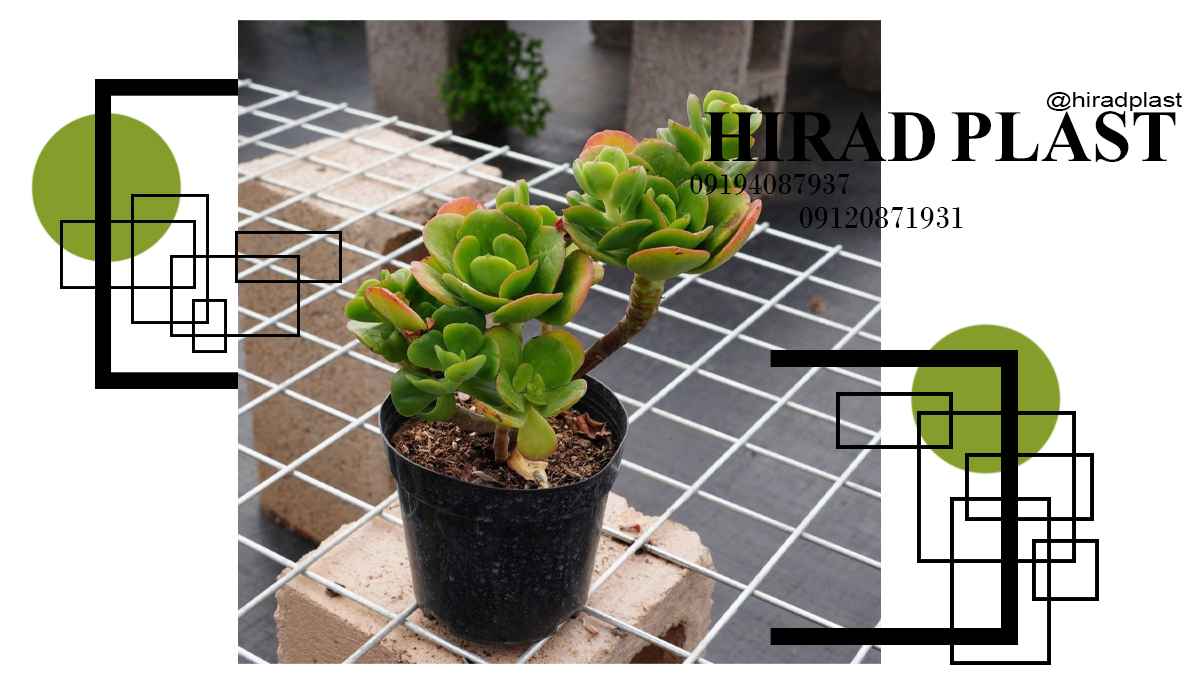 قیمت گلدان پلاستیکی