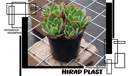 گلدان پلاستیکی