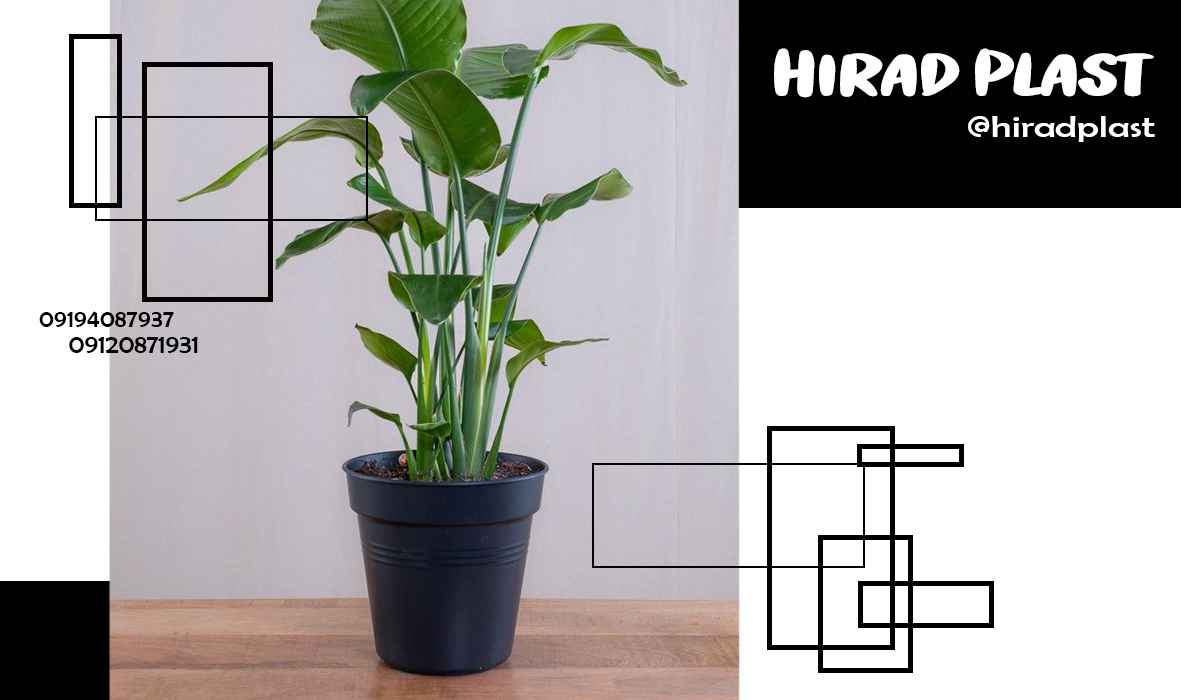 گلدان پلاستیکی باغی