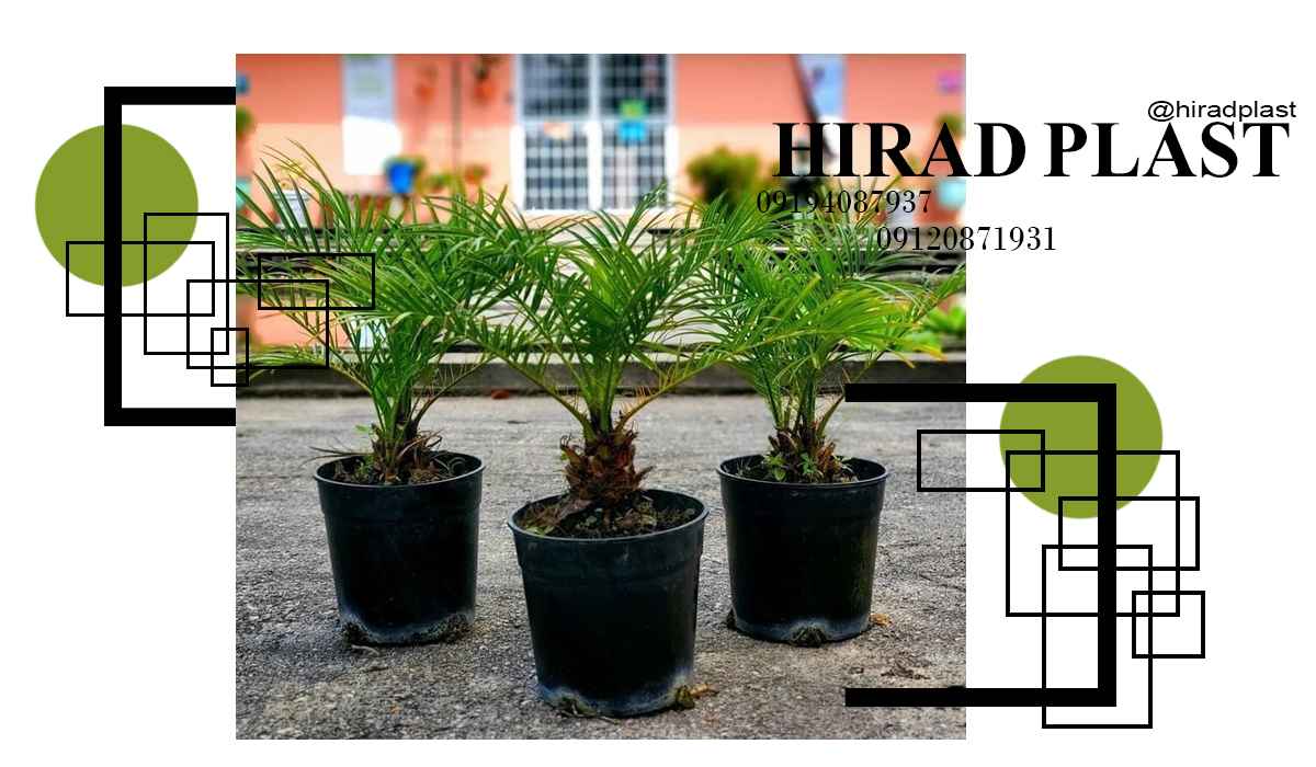 گلدان پلاستیکی باغی