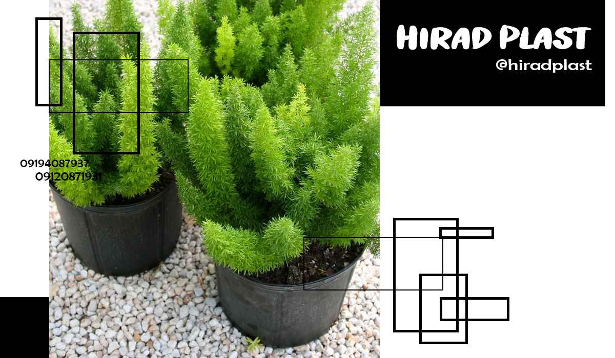 گلدان پلاستیکی سطلی