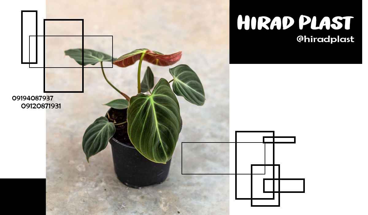 گلدان پلاستیکی عمده