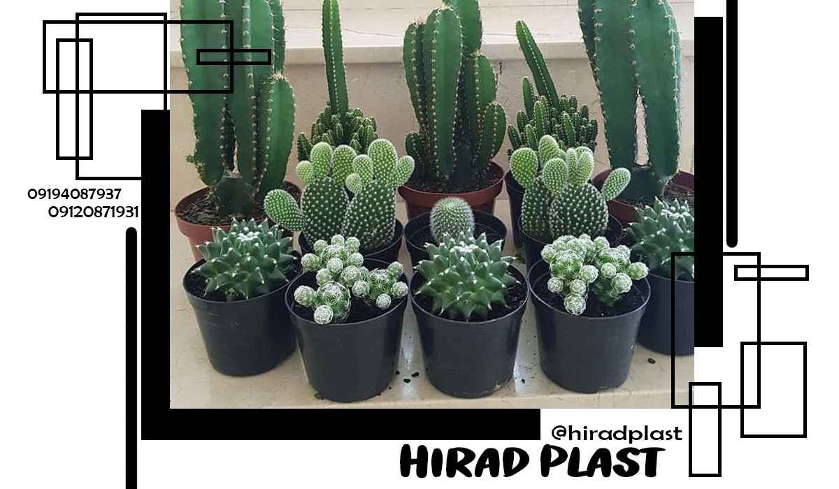 گلدان پلاستیکی عمده