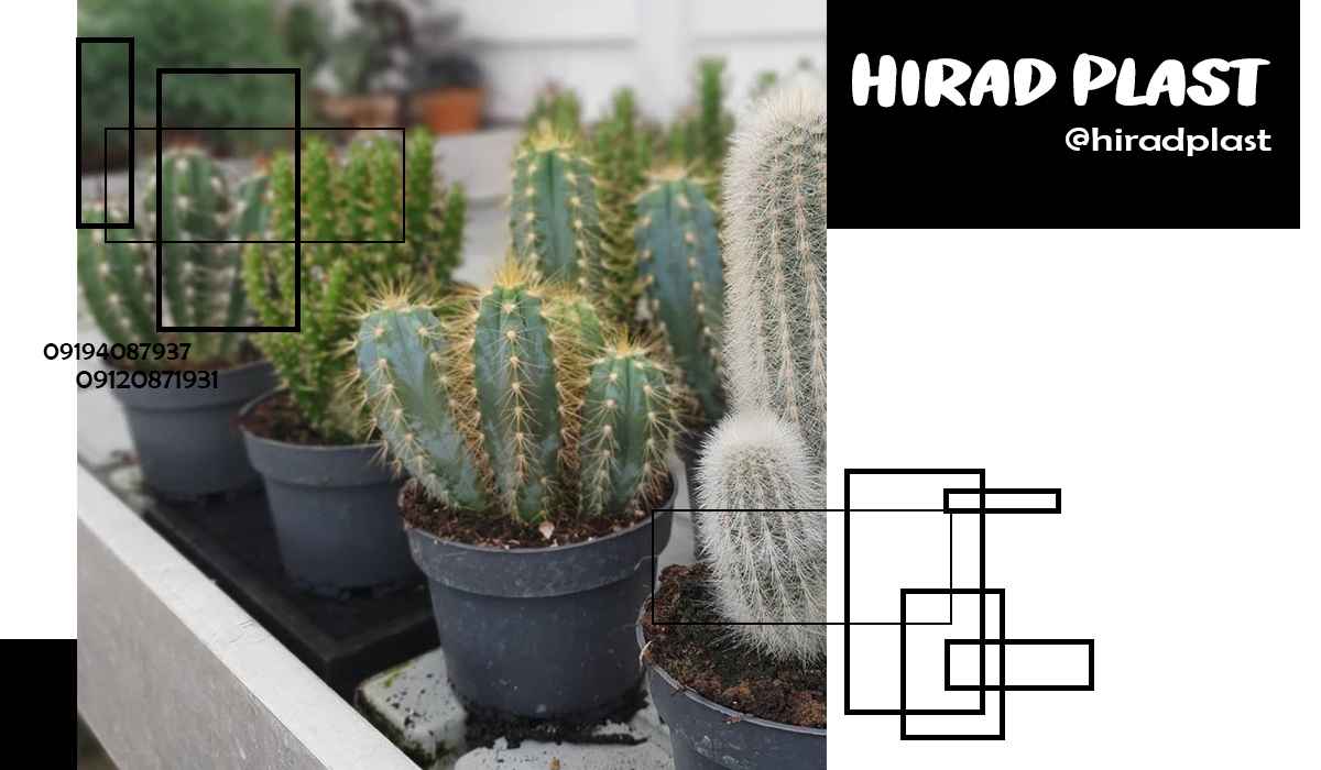 گلدان پلاستیکی مشکی