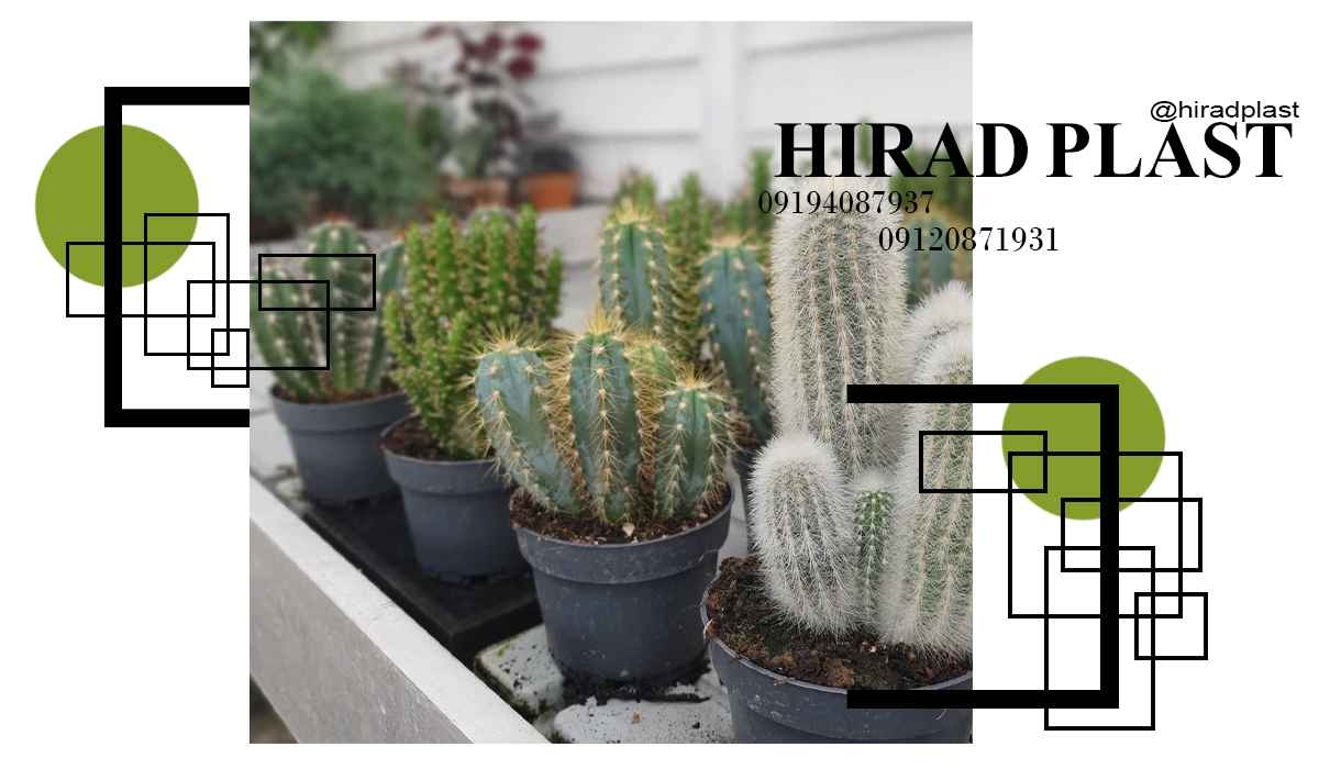 گلدان پلاستیکی مشکی