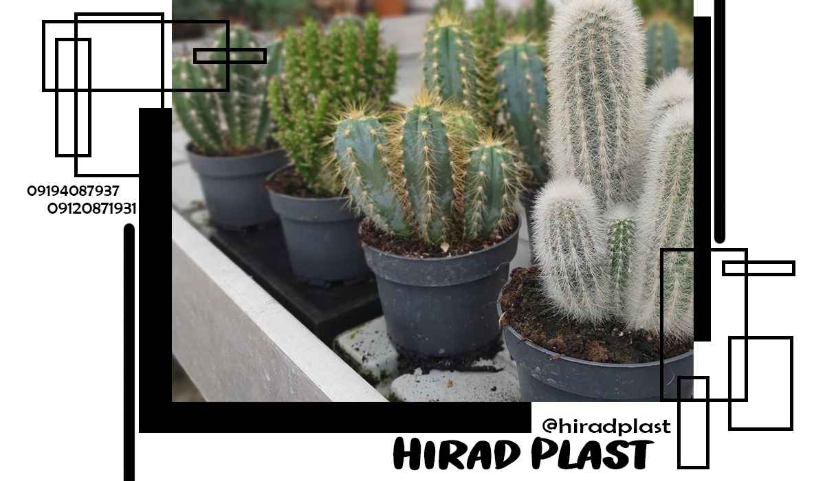 گلدان پلاستیکی نشا