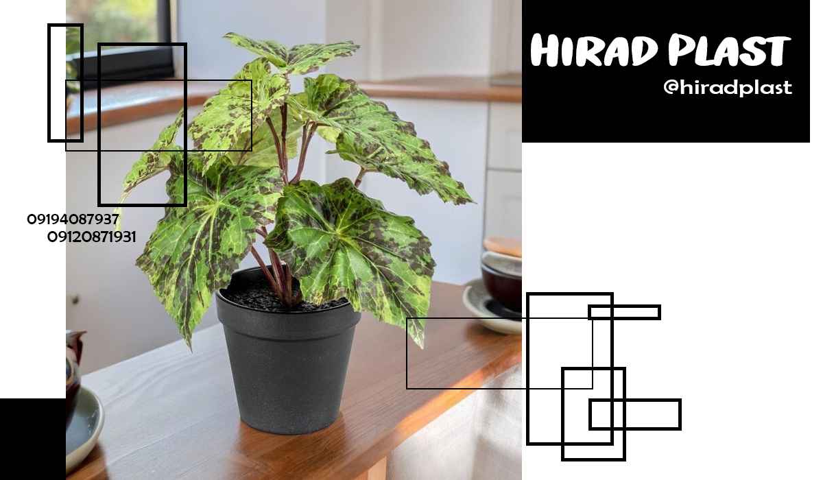 گلدان پلاستیکی نشا