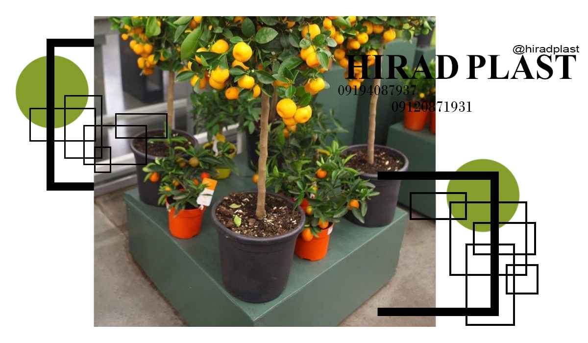 گلدان پلاستیکی کشاورزی