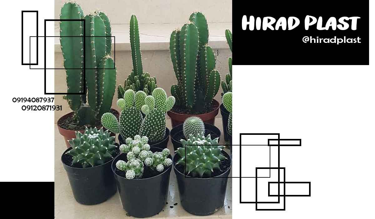 گلدان پلاستیکی گلخانه