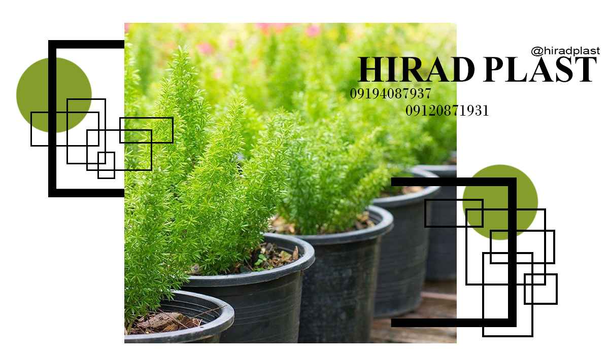 گلدان پلاستیکی گلخانه ای