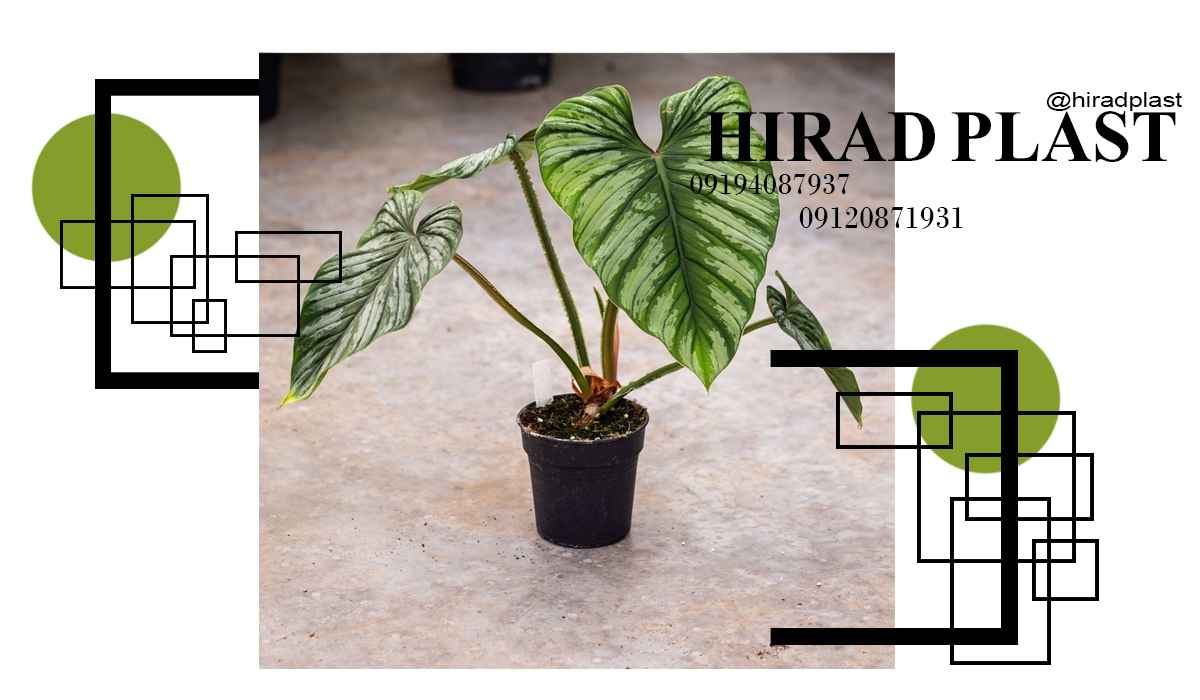 گلدان کشاورزی