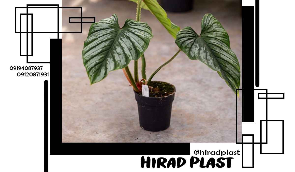 گلدان کشاورزی