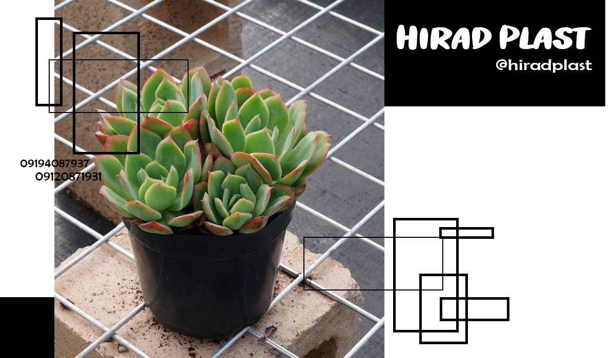 گلدان گلخانه ای