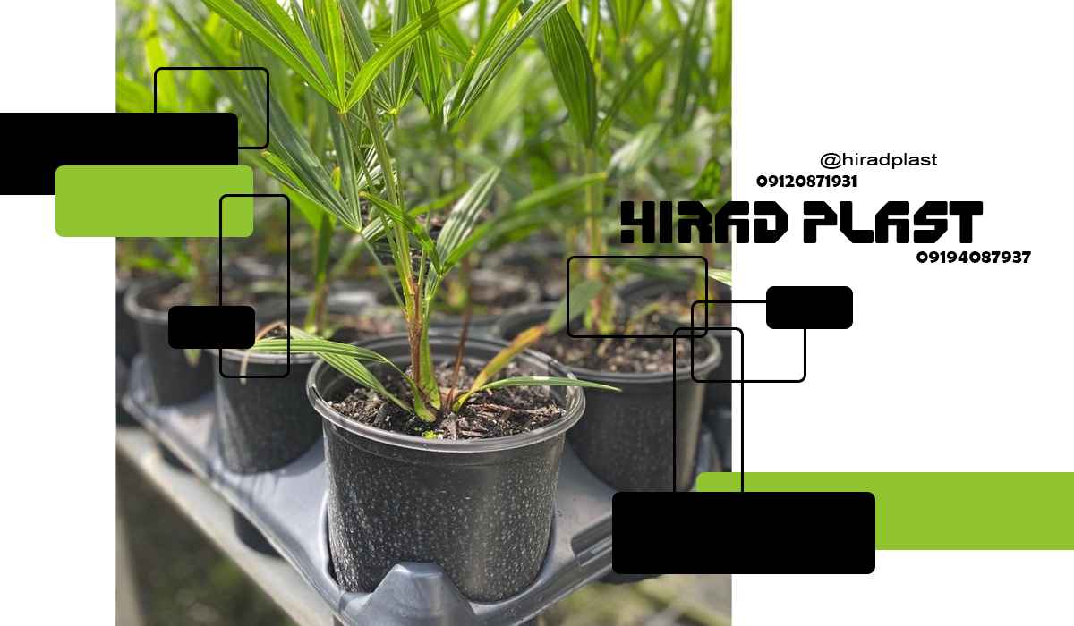 خرید گلدان پلاستیکی