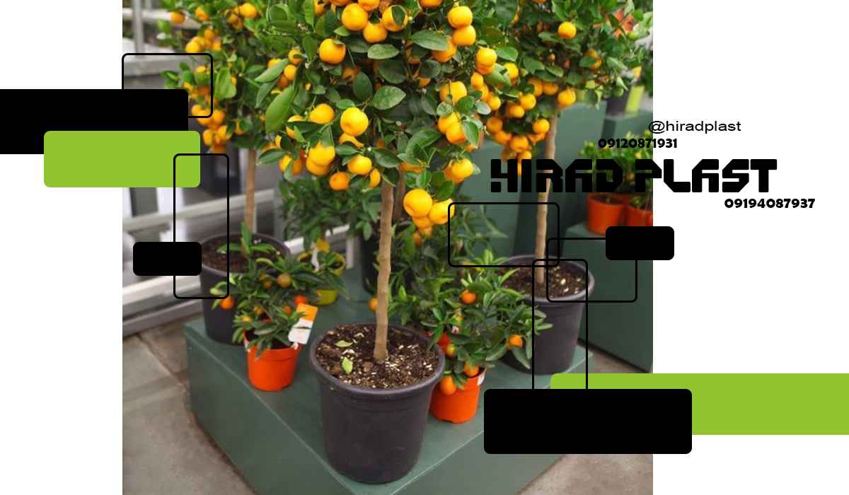 قیمت گلدان پلاستیکی