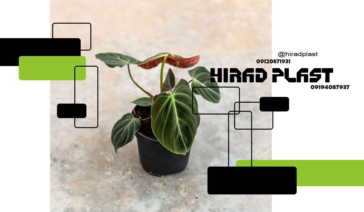 گلدان پلاستیکی ارزان