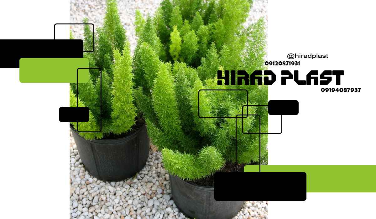 گلدان پلاستیکی باغی