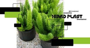 گلدان پلاستیکی مشکی