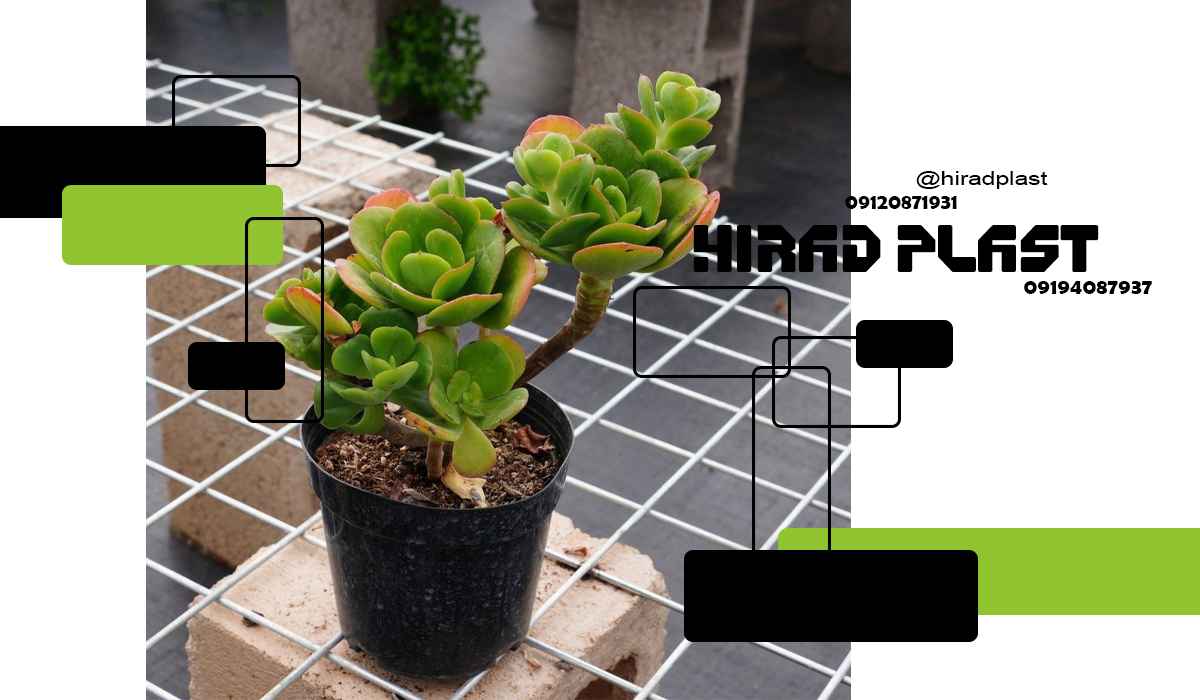 گلدان پلاستیکی نشا