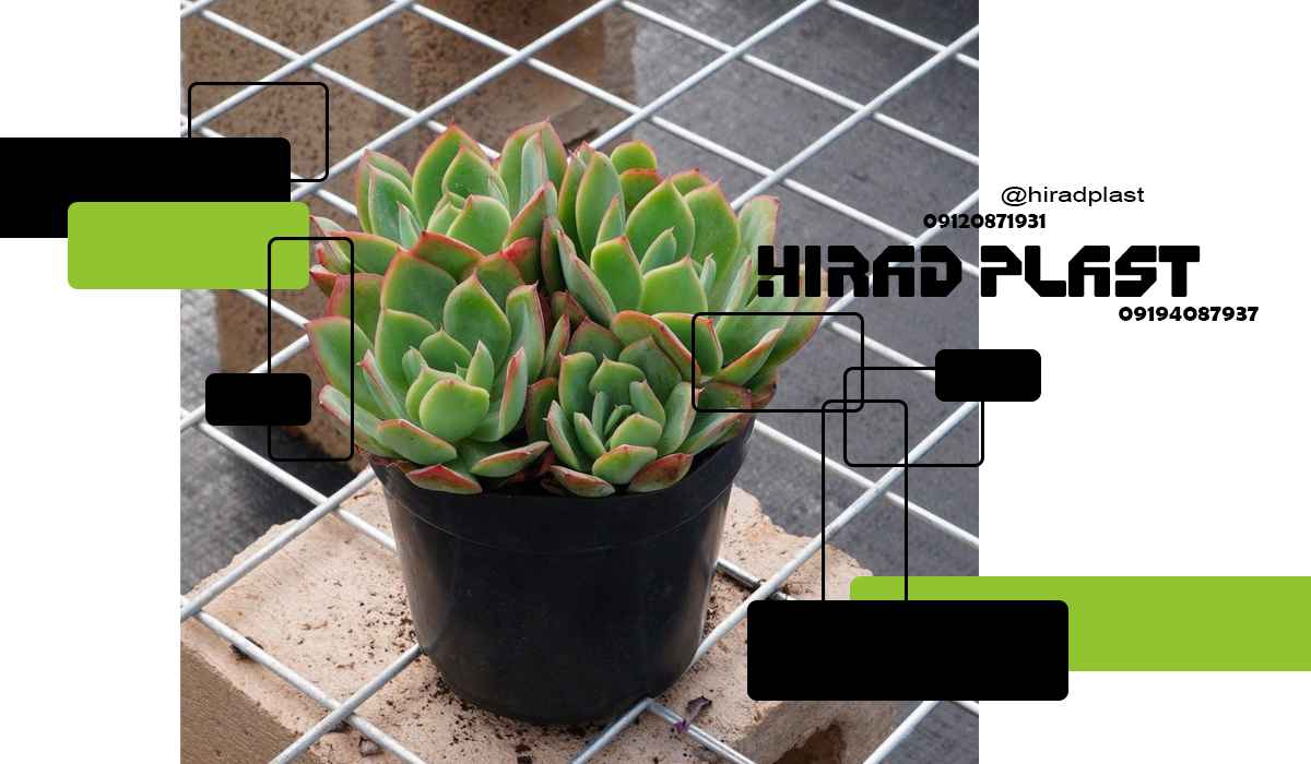 گلدان پلاستیکی کشاورزی