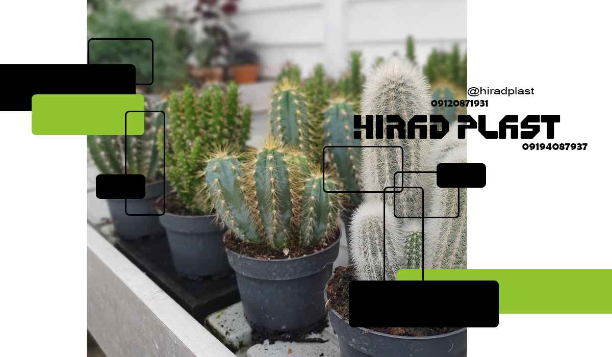 گلدان پلاستیکی گلخانه