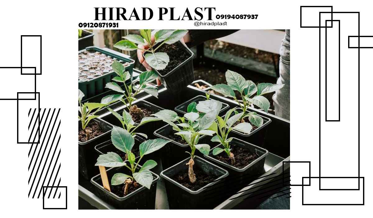 خرید گلدان پلاستیکی