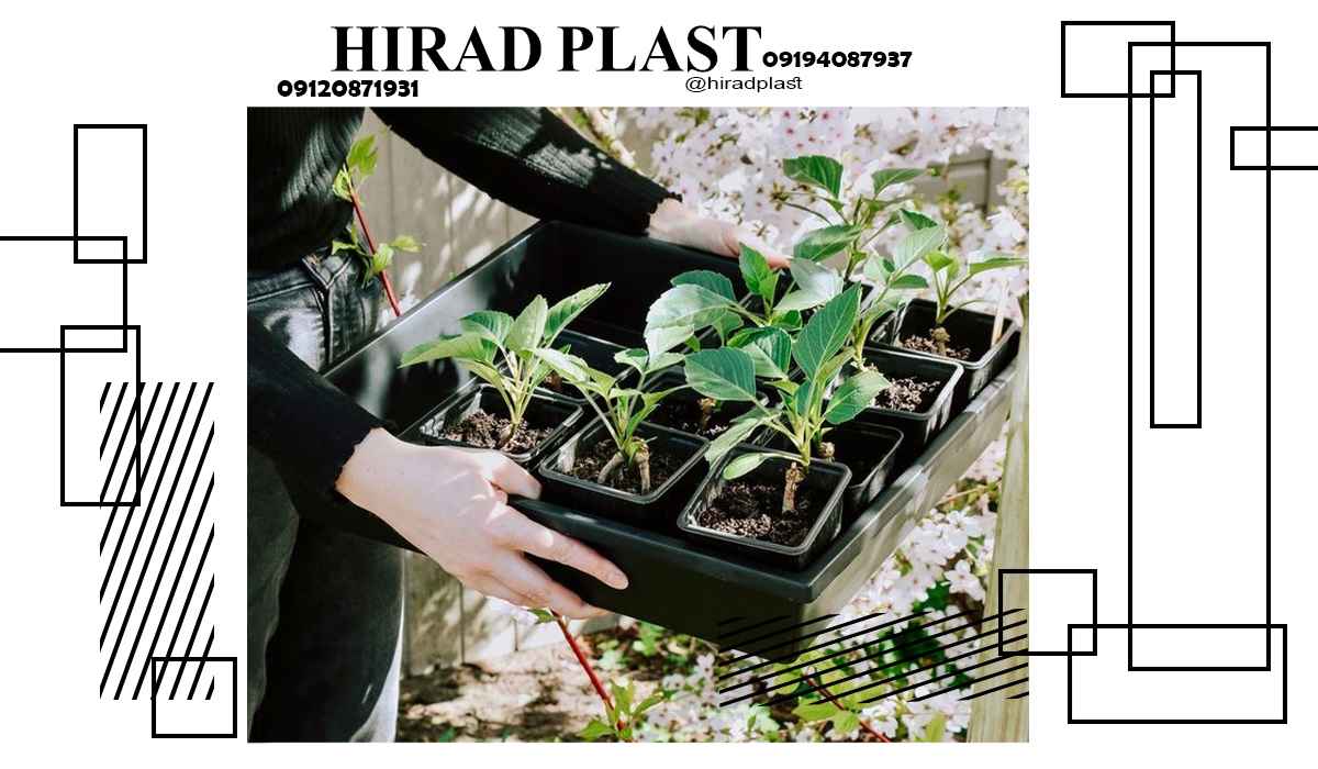 قیمت گلدان پلاستیکی