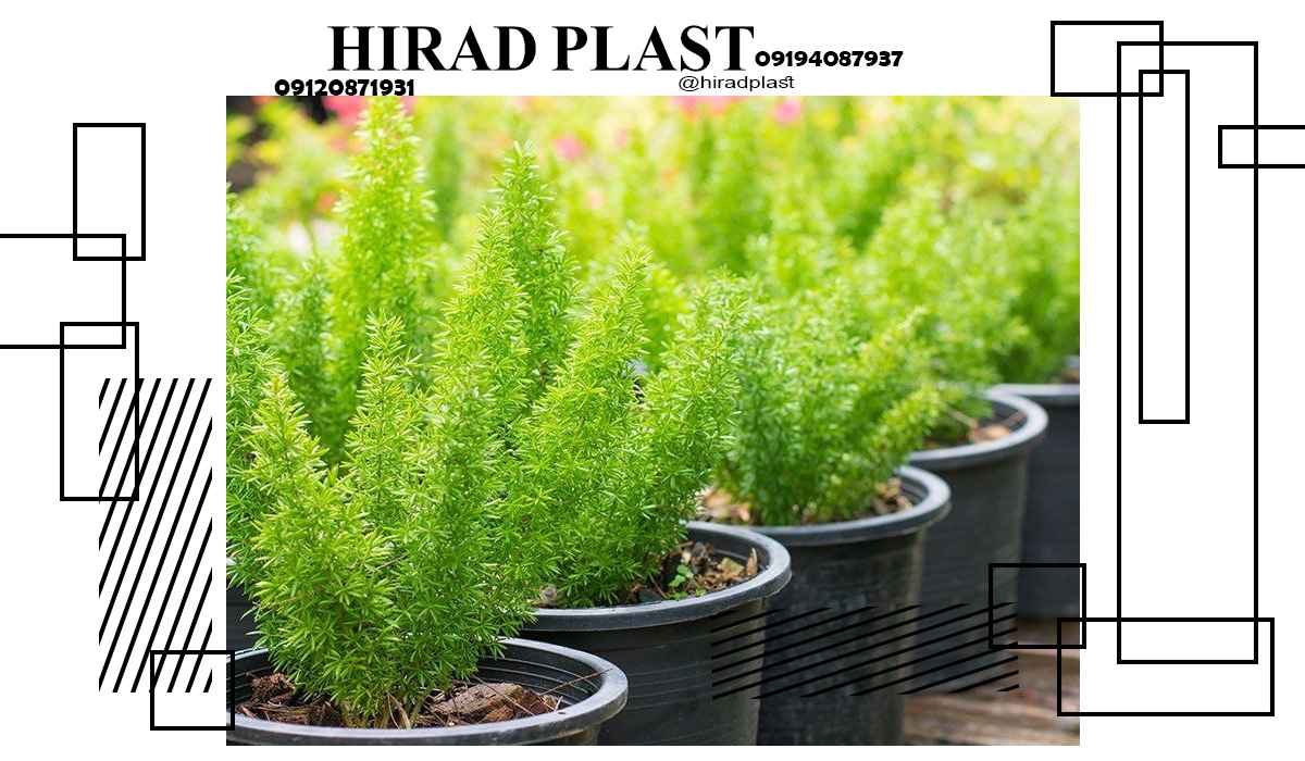 گلدان پلاستیکی عمده