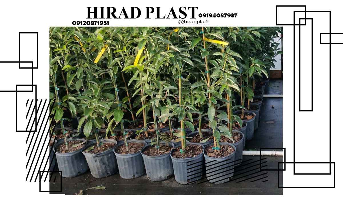 گلدان پلاستیکی کشاورزی