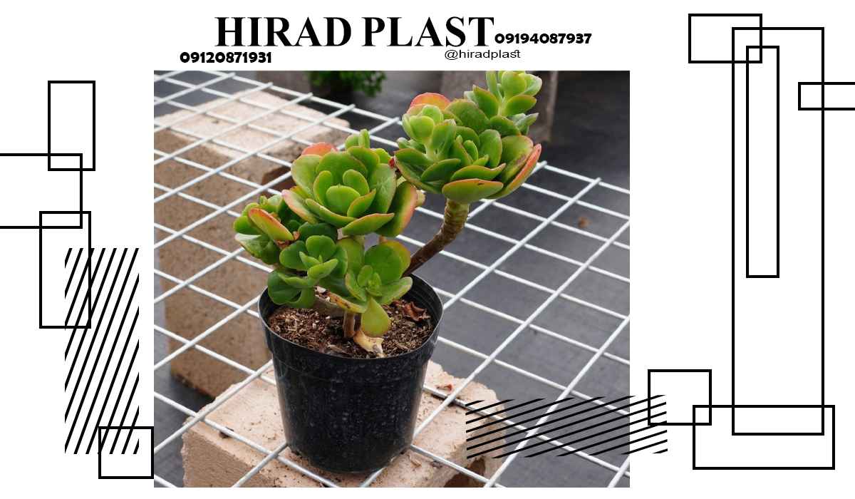 گلدان پلاستیکی گرد