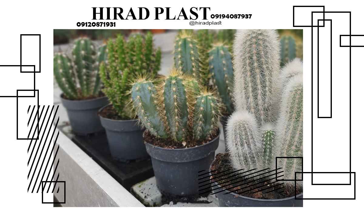 گلدان پلاستیکی گلخانه ای