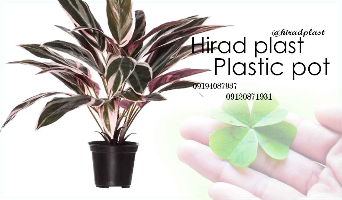 گلدان گلخانه ای مشکی