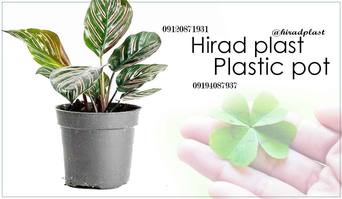 گلدان گلخانه ای