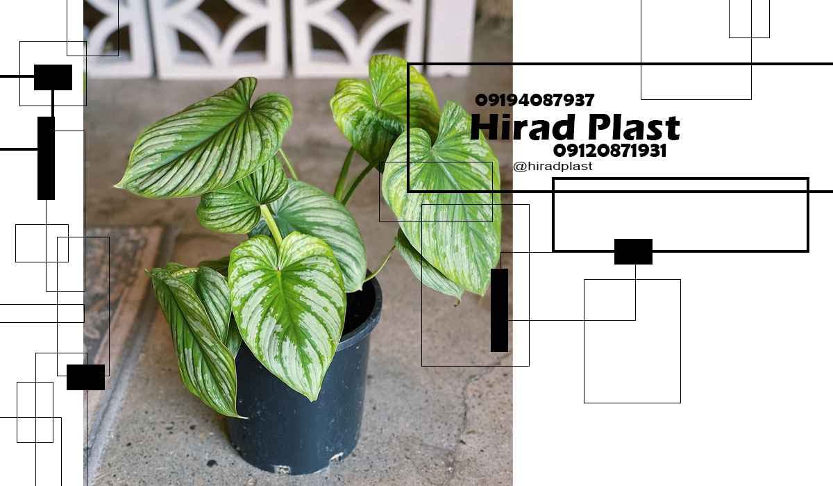 قیمت گلدان پلاستیکی