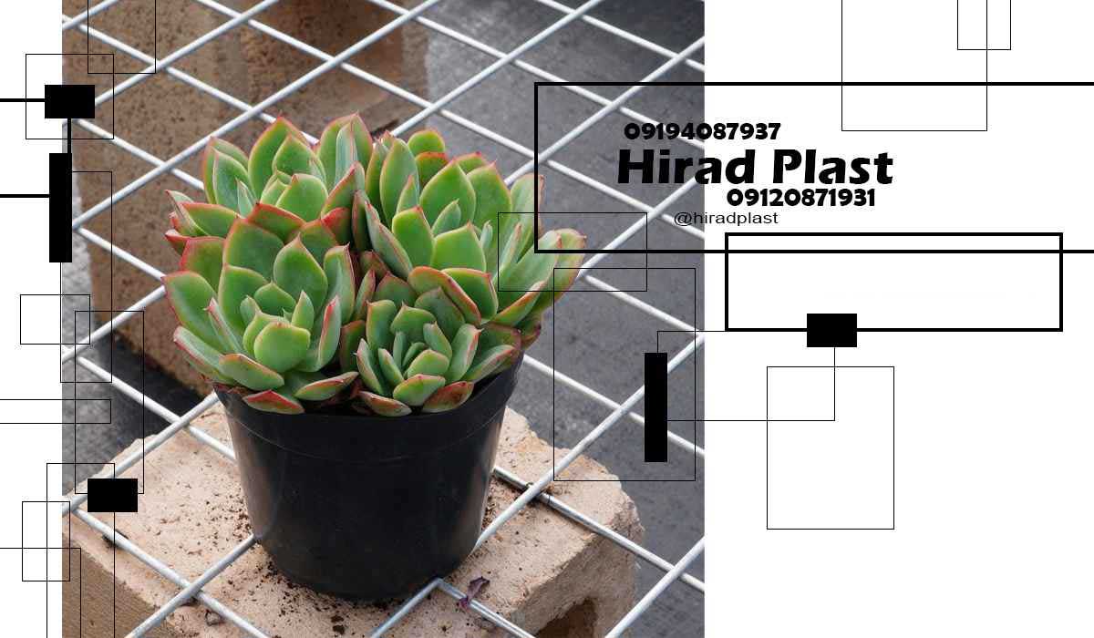 گلدان پلاستیکی