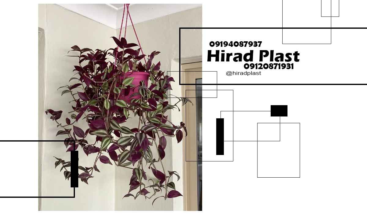 گلدان پلاستیکی آویز