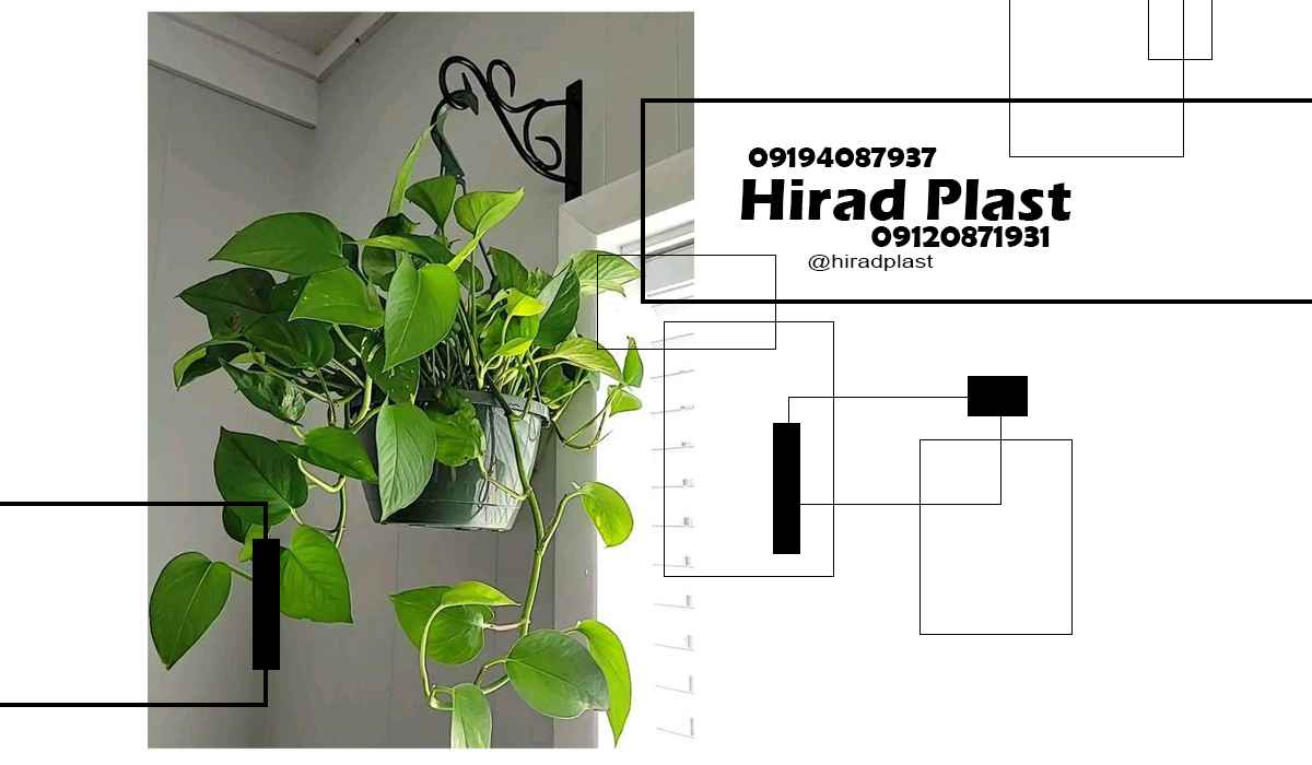 گلدان پلاستیکی اویز