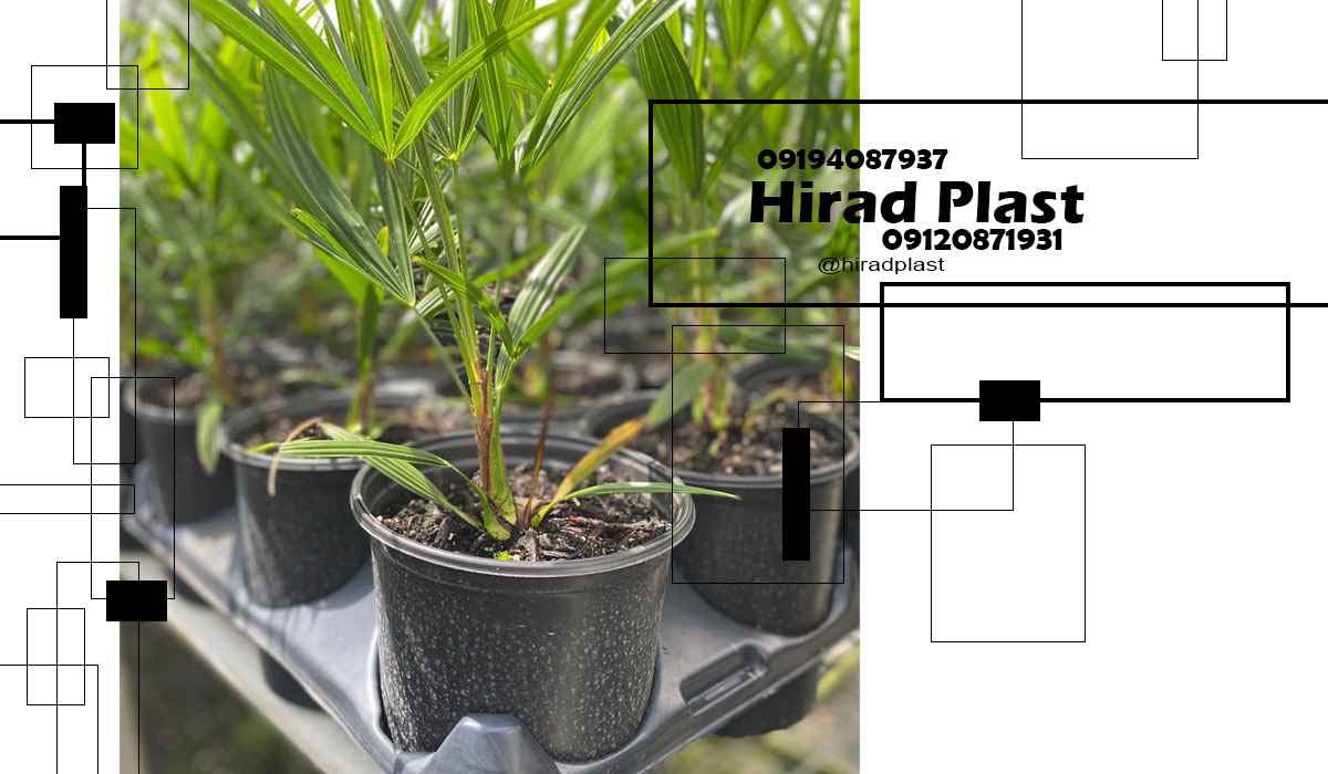 گلدان پلاستیکی نشایی