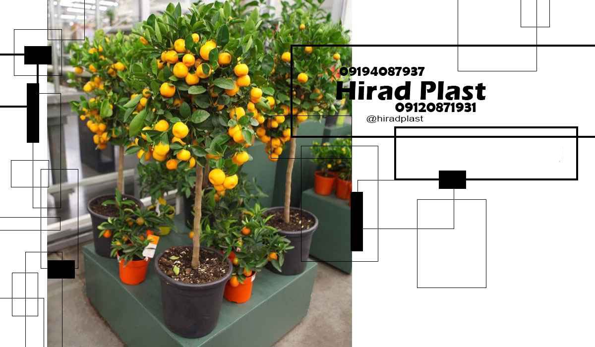 گلدان پلاستیکی کشاورزی