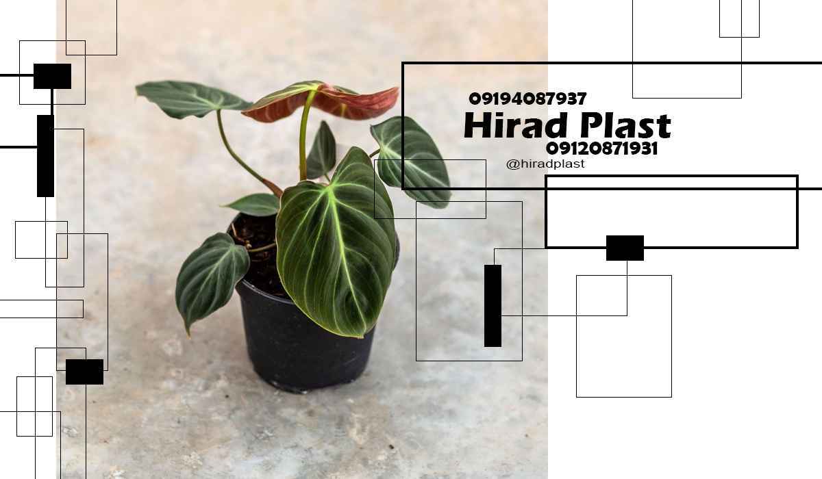 گلدان پلاستیکی گرد