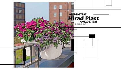 گلدان پلاستیکی